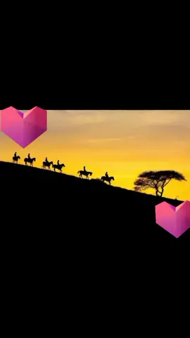 walaal 😔 walaalka ha ku odhan hadal xun