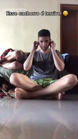#pincher #cachorro #terrivel #fyp #fy #vo #loucura esse cachorro é terrível 🤣🤣