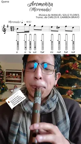 Responder a @nico_musico123 La mejor morenada del mundo #Aromeñita ????? #Quena #Flute #Morenada #Bolivia #CarnavalDeOruro #Parati #Foryou