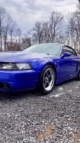 Ready to break necks🔥💙 #ShineUpDetailLLC #shinedup #fyp #CleanTok #foryou #autodetailing #detailer #cobra #mustang #svt