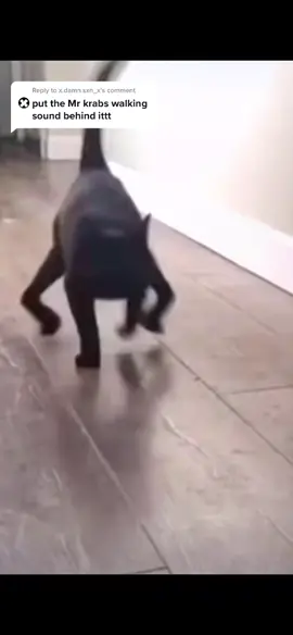 Reply to @x.damn.sxn_x  Here you go! #afrogwholovesmemes