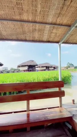 Khu du lịch sinh thái và ẩm thực MỸ PHƯỚC THÀNH - CAO LÃNH - ĐỒNG THÁP #MỹPhứơcThành#đồngtháp #dulịchmiềntây #MiềnTây #miền_tây_sông_nước