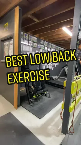 If you have acces to this bad boy, USE IT! #BOUTDAT #reversehyper #powerlifting #shotput #thrower #fyp #lifting #heavy #trackandfield #athlete #lifttok