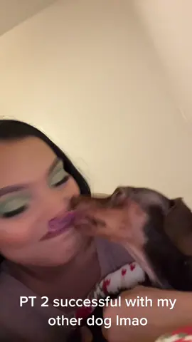 PT 2! this was successful 😂😂😂 #dogs #dog #dogsofttiktok #dogsoftiktokviral #funny #funnyvideos