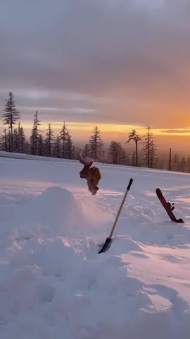 Face planted a couple times #skiing #snowboarding #skitok #fyp