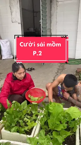 Hoá ra không phải shop nào cũng bán 🥲@thach.nghe_an #hài #giaitri