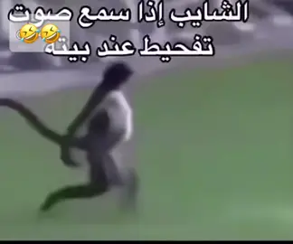 #اكسبلور_تيك_توك #ضحك #فرفشه_ضحك_وناسه😂😂😂😂 #ضحكة #مسكات #فورد_فكتوريا