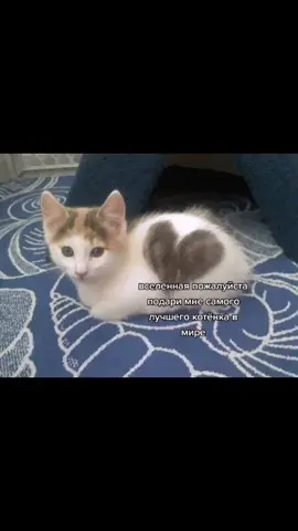 🎀