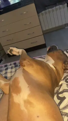 #krispes #рек #FreeFireIce