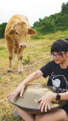 เล่นไปกลัวไป #handpan #meinlsonicenergy #meinl #cow #fyp #tarnsoftwhip #tobecontinued #waitforit