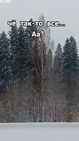 #настроениенануле#предновогодний депрессняк#
