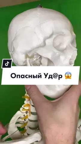 🍎БОЛЬШЕ ИНФЫ IN//SТ - biologylike 🍏 #biology #подковальников #FreeFireIce #ДавайЗаСтол #биология #бокс #единаборства #удар #челюсть #череп #строениечеловека #анатомия #biologylike