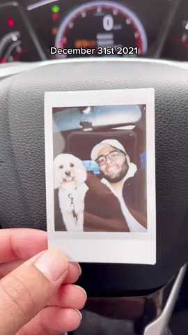 Dogs leave paw prints on our hearts 🐾❤️ #happiestyear #bye2021 #my2021