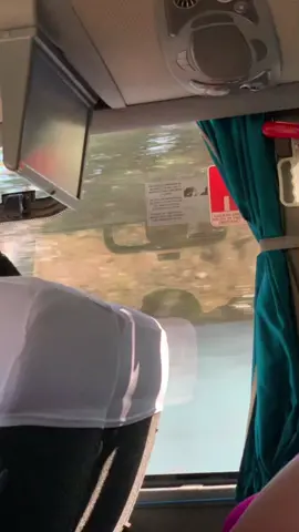 que bonita fue mi última semana del año #fyp