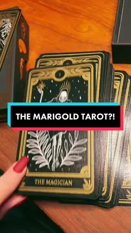 I’m still in shock PLEASE TELL ME WHO YOU ARE!! #prettyplease #tarot #witchtok