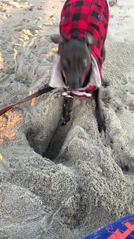 he needed to get to the bottom of things