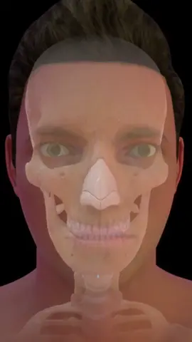 #чудесанауки #биология