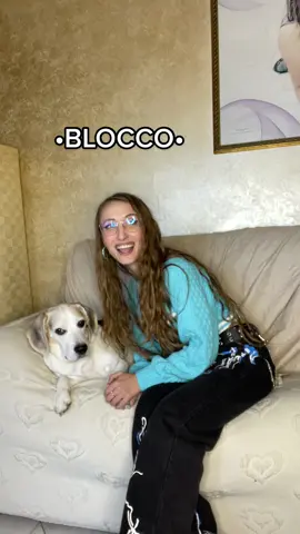 Io e Jared vi auguriamo un buon 2022, che i vostri sogni di realizzino tutti💜 Questo mese Jared compirà 11 anni😭💜 #dog #beagle