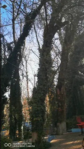 #القصيبة_بني_ملال #تاغبالوت_نوحليمة