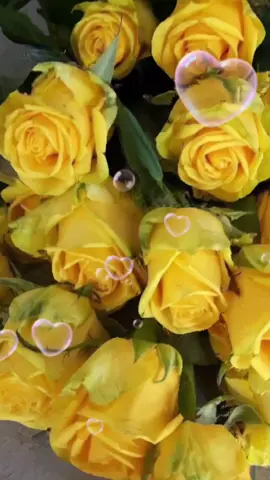 #жена #дляжены #пожелания #дуэт #деньрождение