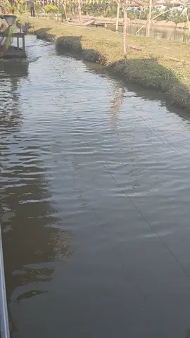 #ครัวบ้านไทรน้อย #โรตีกรอบภูเขาไฟ