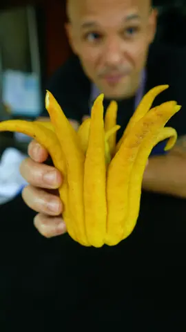 #chefauthorized #brandondearden #citrus #Buddhahand