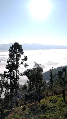 #တိမ်ပင်လယ် #7thHeaven #fyp #နောင်ချို #morning