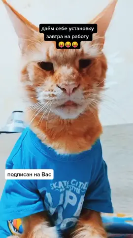 #мейнкун#марвел🤩#ПодаркиСАлисой#МТСДжуниорВайб#ДавайЗаСтол