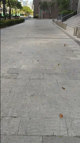 #wind
