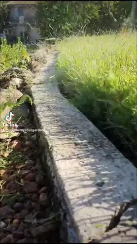 #lawntok #lawn #lawncare #edging #lovemyjob #sydney #Australia #fun #2022 #satisfyingvideo #viralvideo #blowthisup #video #sydneytiktok #oddlysatisfying #grasstok #thegrassisgreener #batterypowered