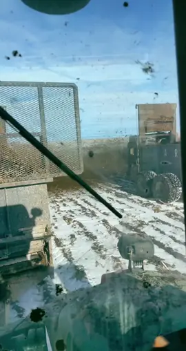 Pen pack going down! #artex #cattle #farmtok #farming #xyzbca #fypシ #fyp #bigchassis @alexbenjamin918