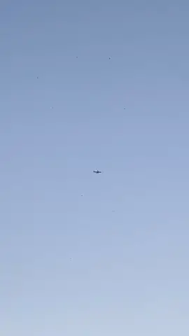 🤍 #FFXmasSwitch #YerAWizard #songwriter #singerstoknow #therapy #heartbreak #sorrow #healing #myex