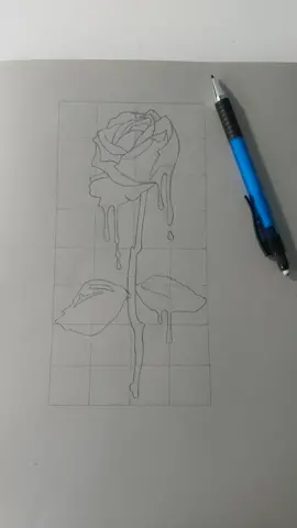 melting rose ⚘ #newsketch #drawing #rose #artistvibes💕 #artaccount #foryou #fabercastell #arttok #realism #youngartist #getthisonthefyp