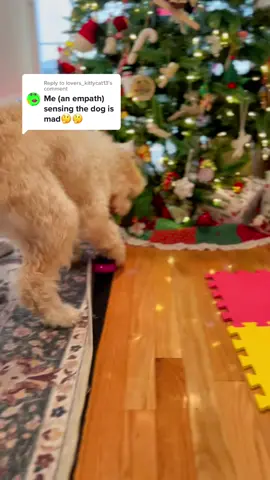 Reply to @lovers_kittycat13 I won’t cross him again #maddog #crazydog #dogtok #dogtalksback #dogbuttons #funnydog