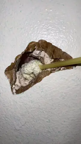 #oddlysatisfyingvideo #paintart #foamcarving #homeimprovment #finicheros #drywallrepair #reparaciones #foamartist