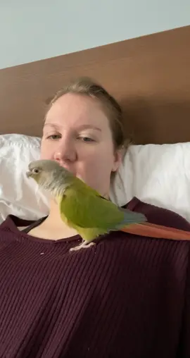 The chomp at the end 😂😂 #angus #angusmcbangus #pet #bird #dance #cute