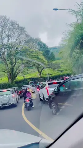 Maafkan suara ku ya maklum kalau nyetir ngantuk obatnya cuma bisa teriak sambil nyanyi 😂😂😂 #puncak #bogor