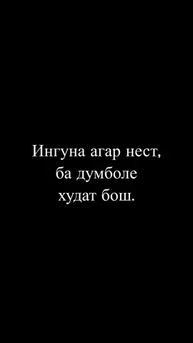 #врекомендации #Пурдил