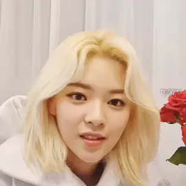 20211103 Vlive [😉] #twice #jeongyeon