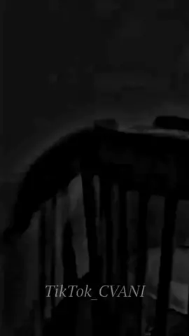 #المصممcvani اه لمه تحب بجد بعد سنين طويله❤️‍🩹✨