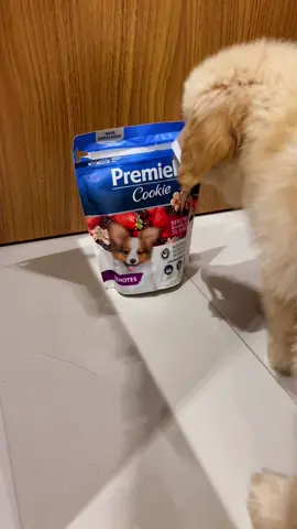Premier: a melhor em ração e petisco! Esse é o meu favorito, cookie de frutas vermelhas e aveia 🤤🐶 #premier #premierpet #premiercookie premierração