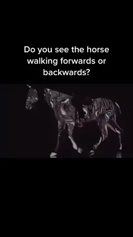 What do you see #leftbrain #rightbrain #opticalillusion #cool #fyp