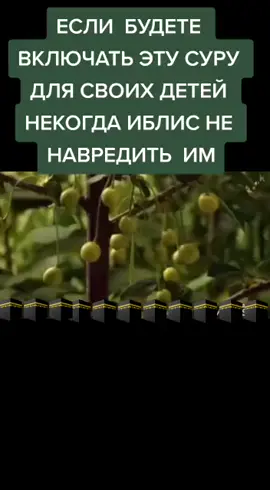 Пусть Аллах бережёт всех детей от всего плохого Амин☝️
