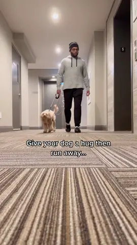 The way she does it right back… 😳 #dogsoftiktok #pets #cutedog #dogtiktok