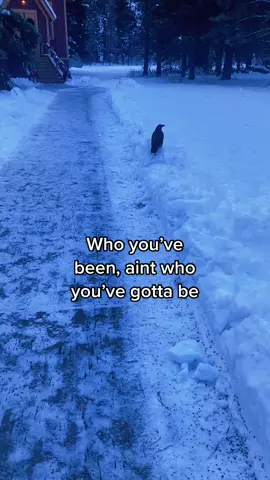 I think everyone is battling their own demons and wants to be better 💪♥️ #fypシ #fyp #fypage #foryoupage #yosemite #betterthaniusedtobe #timmcgraw