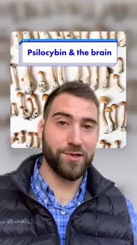 Be that girl, Leah. Let’s talk about psilocybin and the brain 🧠