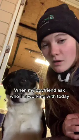 Miss Sally is my favorite coworker #dogdays #farmtok