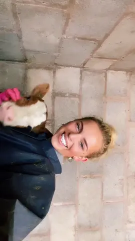 #farminglife #countrylife #countryclothing #dairyfarm #femalefarmer #agriculture #milking #cows #dairy #argi #farming #farminguk #dairyfarmer #calves
