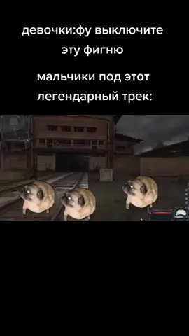 #сталкер #бандитскоерадио #мопсы #собаки #сталкерприколы #приколы #девочки #мальчики #легендарныйтрек