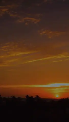 Como quisiera 🥺🎵 #fyp #fypシ #parati #viral #foryou #vallenato